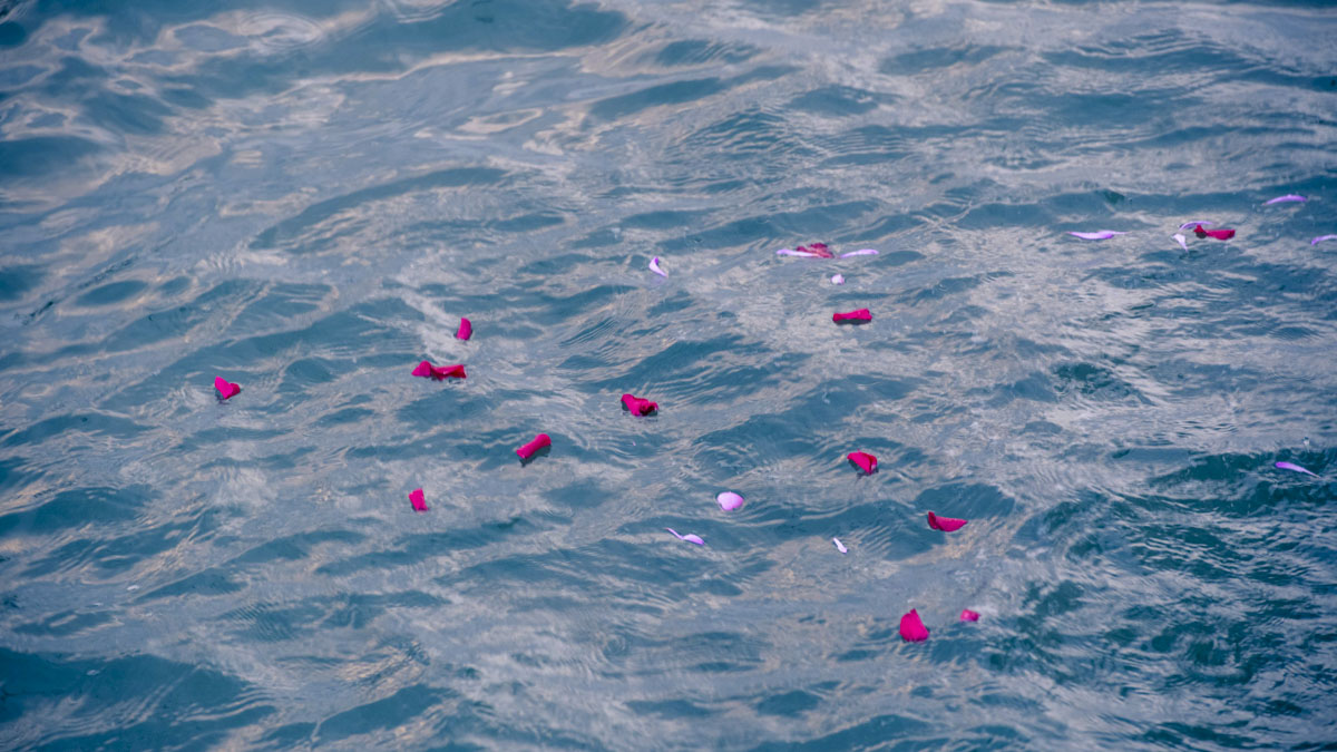 Asthipushpa in the Pacific Ocean