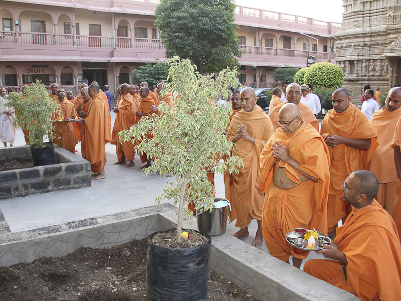 <a href="https://www.baps.org/Photos/2015/Shilanyas-Ceremony-9643.aspx?mid=69671" target="blank" style="text-decoration:underline; color:blue;">Senior sadhus plant trees in the mandir grounds, Gondal</a>