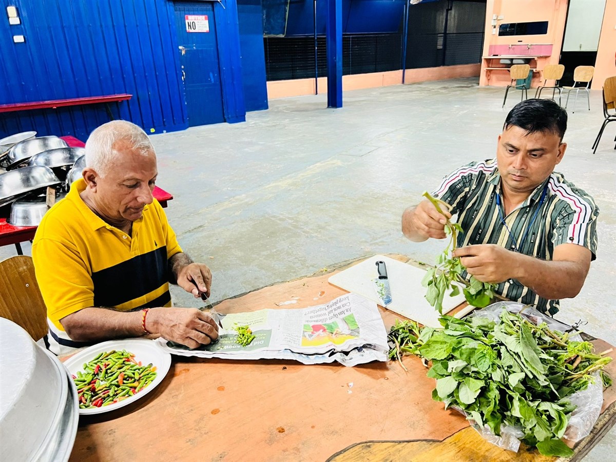 Rathyatra Celebration 2024, Suva, Fiji
