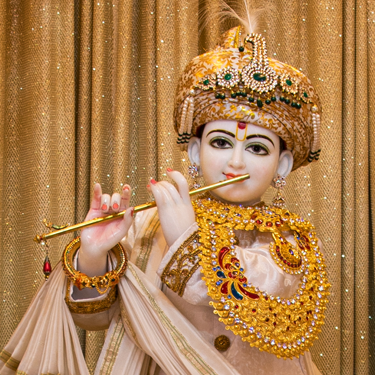 Janmashtami Mahila Celebration